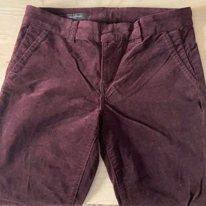 Velvety eggplant-colored trousers